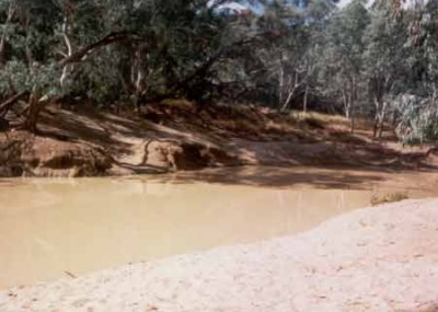 The Pump Hole is a popular picnic area on the Thomson River