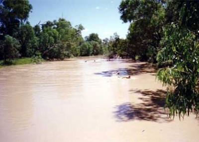 The Thomson River in flood