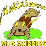 Mudskippers