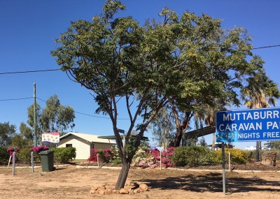 Muttaburra Rest Area