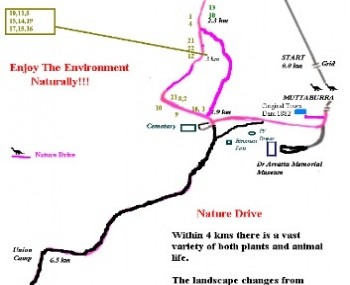 Map of Nature Drive with an indication of where the numbered trees are.