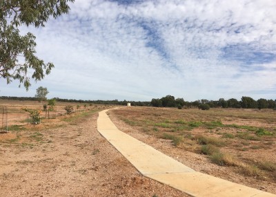 Plants along walkway to town dam 24th June 2018