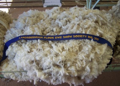 Winning fleece