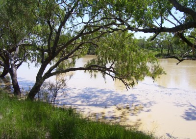 Thomson River