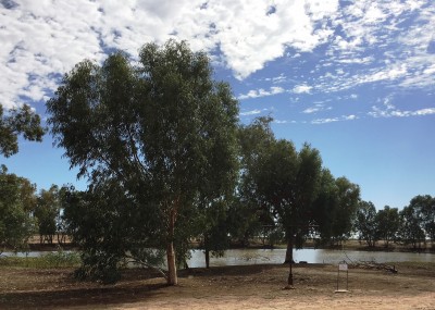 Town dam 24th June 18