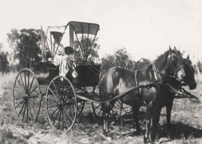 Two Horse Drawn Carriage