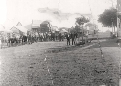 Wool Carting with Horses