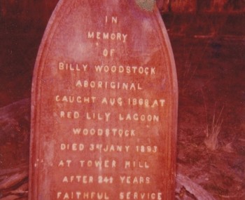Billy Woodstock