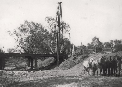 Horses and Bridge