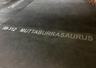 Floor